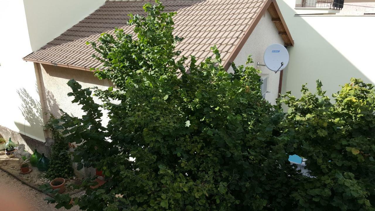 B&B In Sabina Poggio Nativo Exteriér fotografie